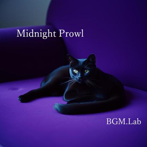 Midnight Prowl