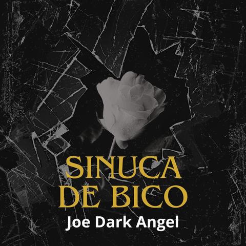 Sinuca de Bico