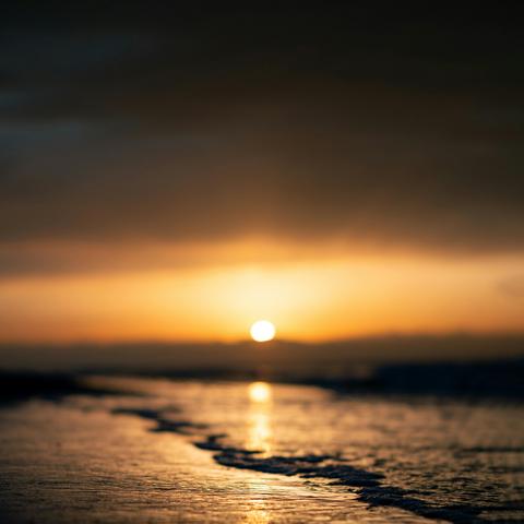 Guiada pela Luz