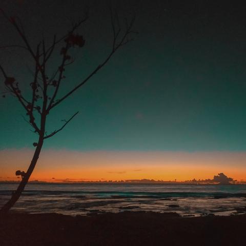 Labuhanku