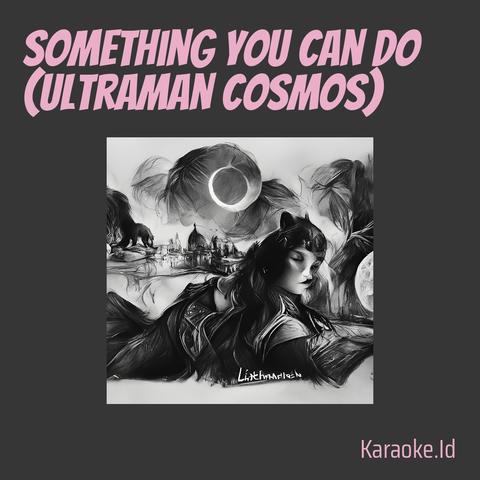 Something You Can do (Ultraman Cosmos)